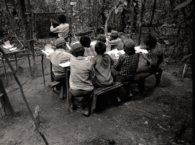 jungle classroom